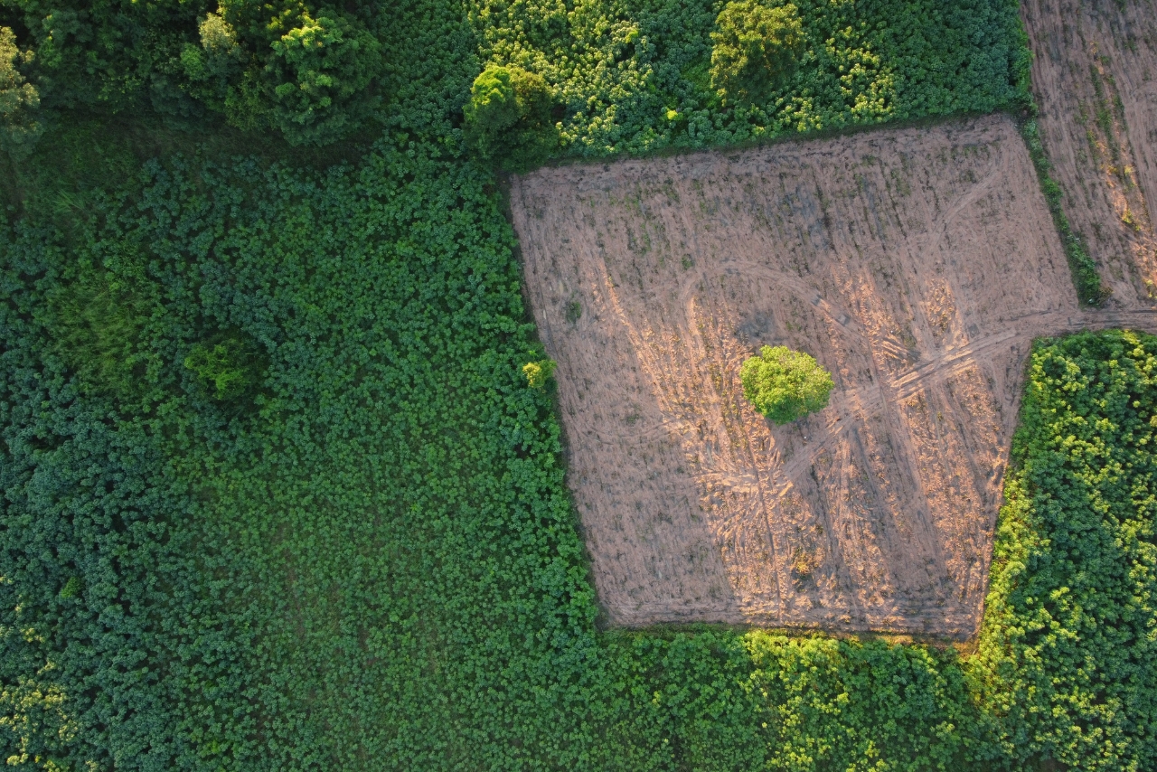 Ewidencja gruntów i budynków przy zakupie nieruchomości Na co zwrócić uwagę min